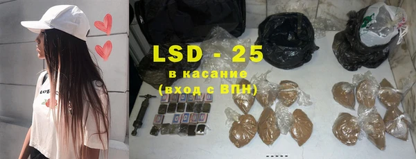 ГАЛЛЮЦИНОГЕННЫЕ ГРИБЫ Аркадак
