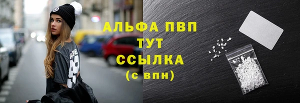 индика Алагир
