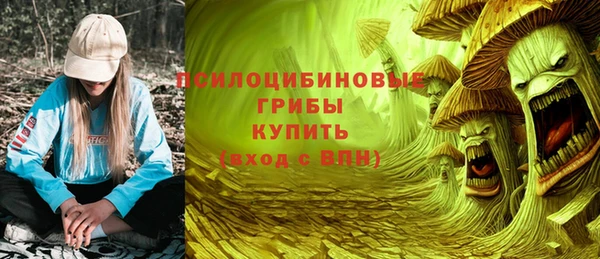 ГАЛЛЮЦИНОГЕННЫЕ ГРИБЫ Аркадак