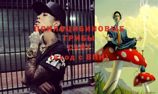 прущий лед Арсеньев