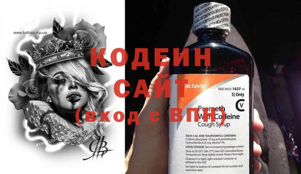 ГАЛЛЮЦИНОГЕННЫЕ ГРИБЫ Аркадак